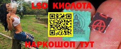 гашик Бийск