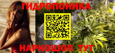 гашик Бийск