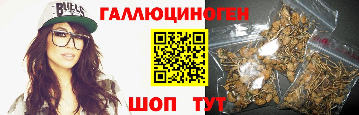Галлюциногенные грибы прущие грибы  Вход с VPN  Ишим  Псилоцибиновые грибы Cubensis 